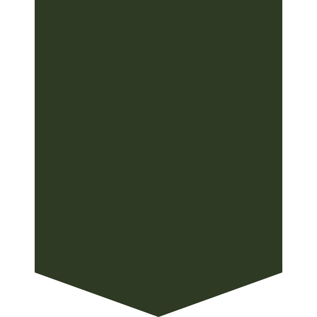RAL 6028