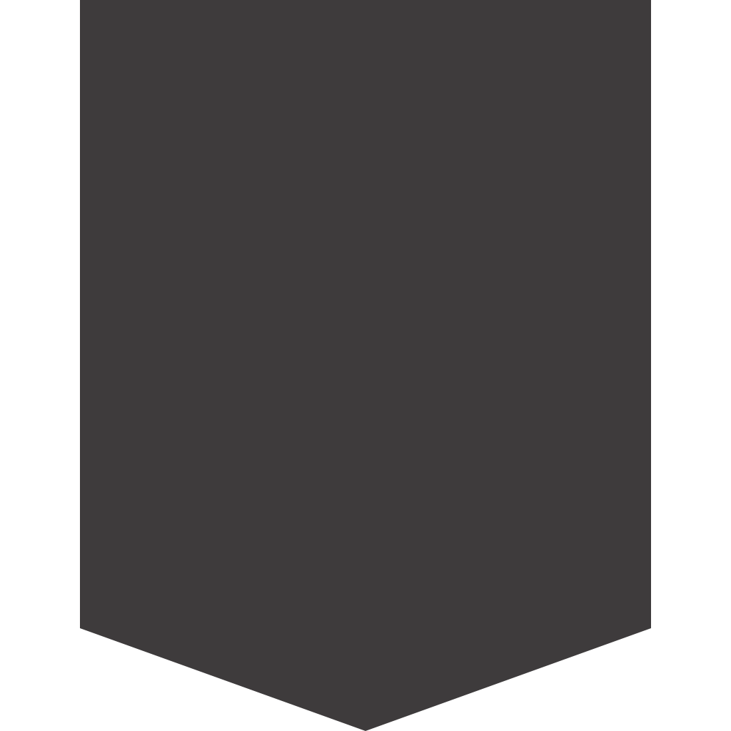 RAL 8019