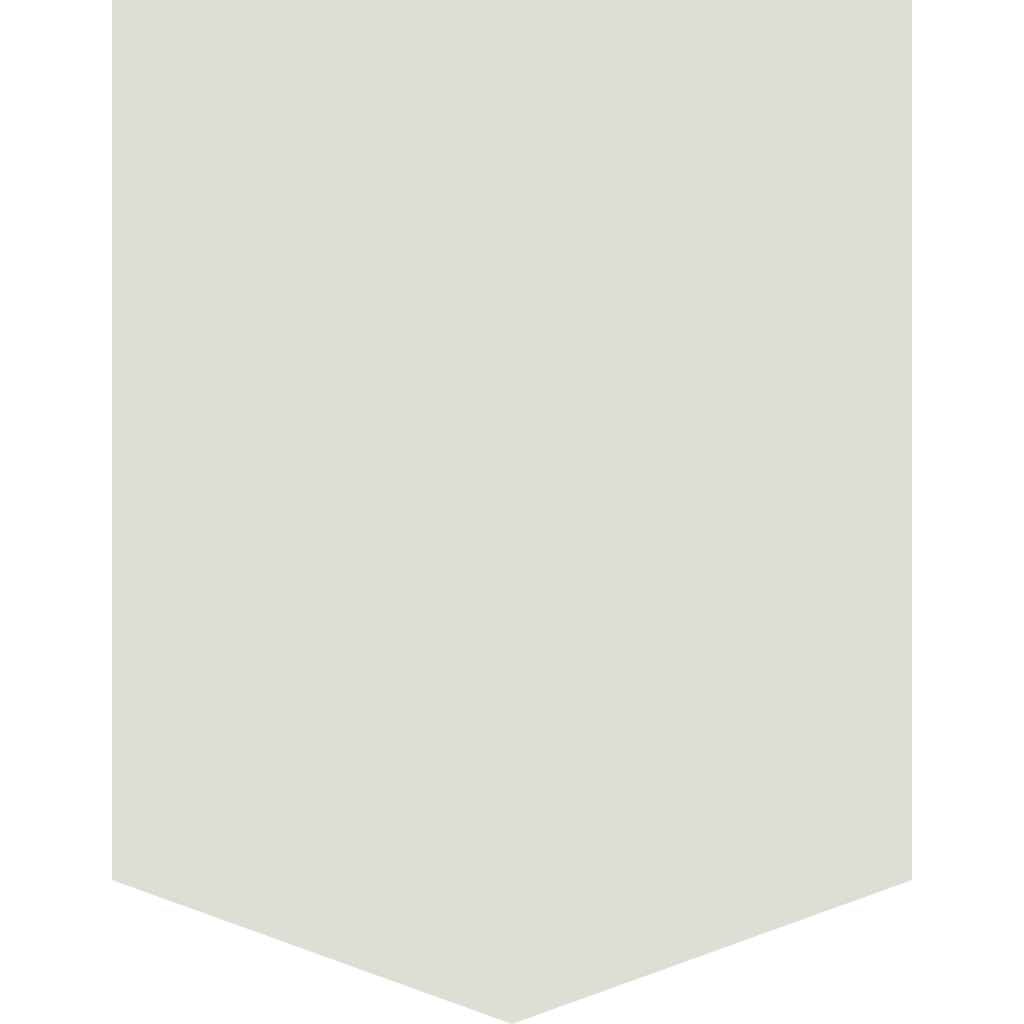 RAL 9002