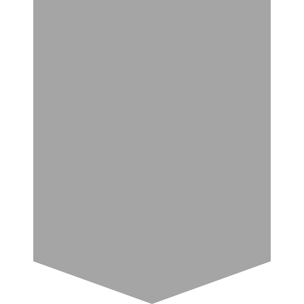 RAL 9006
